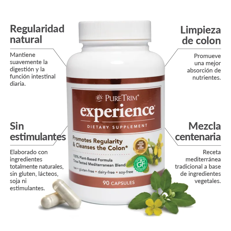 Experience